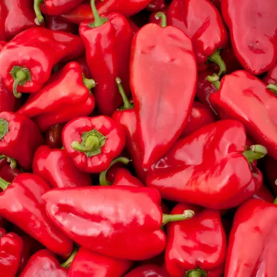 Paprika Snacking Red F1 - Capsicum anuum - osivo papriky - 5 ks