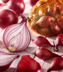 Cibule červená sazečka Rote - Allium cepa - cibulky sazečky - 250 g