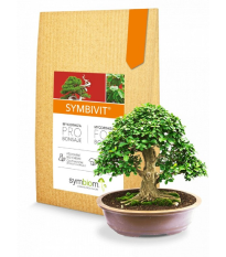 Symbivit Bonsai - Symbiom - mykorhizní přípravek pro bonsaje - 150 g