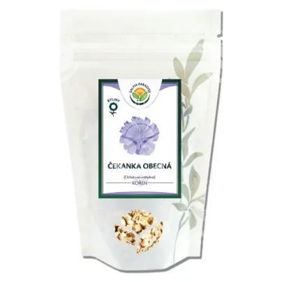 Čekanka obecná - Cichorium inthybus - kořen celý - 100 g