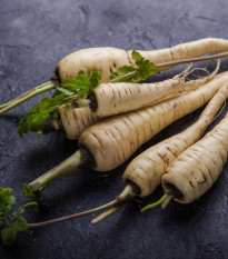 Pastiňák setý Mitra - Pastinaca sativa - osivo pastiňáku - 1 g