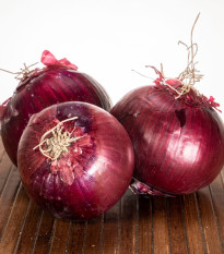 Cibule sazečka zimní Rote Winter - Allium cepa - cibulky sazečky - 50 ks