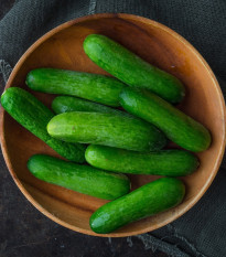 Okurka salátová Baby F1 - Cucumis sativus - osivo okurky - 10 ks