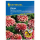 Ostálka Flamenco - Zinnia elegans - osivo ostálky - 50 ks