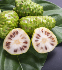 Noni - Morinda citrifolia - osivo noni - 5 ks