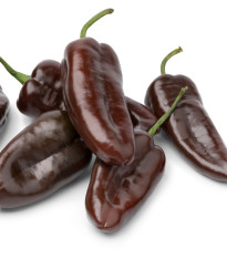 BIO Paprika Sweet Chocolate - Capsicum annuum - bio osivo papriky - 7 ks