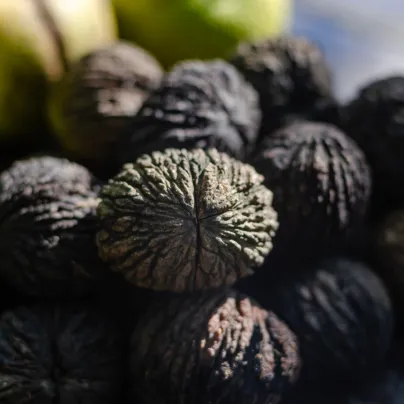 Ořešák černý - Juglans nigra - osivo ořešáku - 2 ks