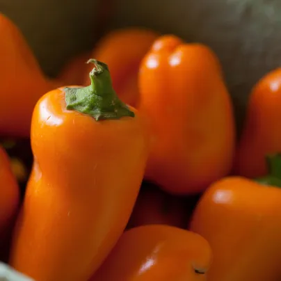 Paprika Snacking Orange - Capsicum anuum - osivo papriky - 5 ks