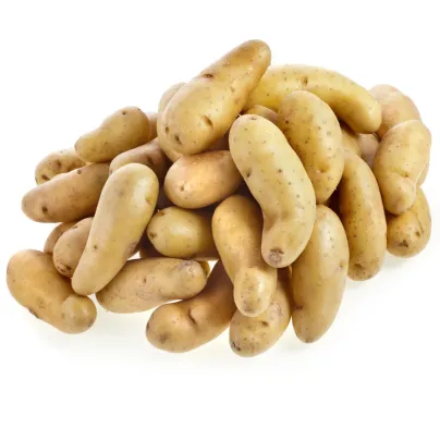 Sadbové brambory Ratte - Solanum tuberosum - sadba - 5 ks