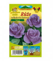 Růže velkokvětá fialová - Rosa - prostokořenná sazenice růže - 1 ks