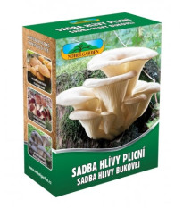 Hlíva plicní - Pleurotus pul - sadba - 250 ml