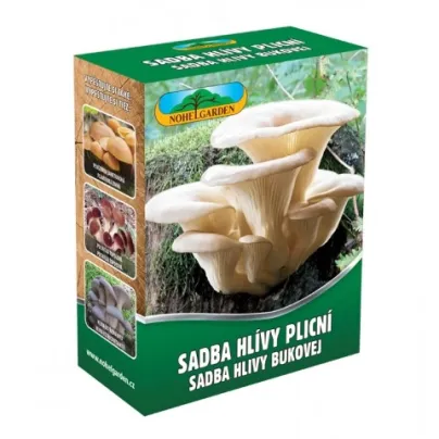 Hlíva plicní - Pleurotus pul - sadba - 250 ml