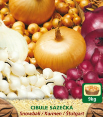 Směs sazeček - Allium cepa - 3 druhy cibulek - 150 g