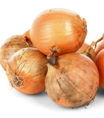 BIO Cibule šalotka Red Sun - Allium cepa - bio cibulky šalotky - 10 ks