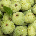 Anona čerimoja - Anona cherimoia - osivo anony - 5 ks