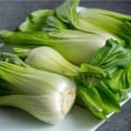 Pak Choi Hanakan F1 - Brassica rapa var rosularis - osivo pak choi - 70 ks