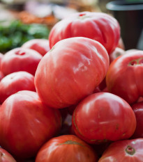 Rajče Oxheart Pink - Solanum lycopersicum - osivo rajčat - 5 ks