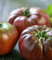 Rajče Brandywine černé - Solanum lycopersicum - osivo rajčat - 7 ks