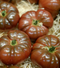 Rajče Cherokee - Solanum lycopersicum - osivo rajčat - 7 ks