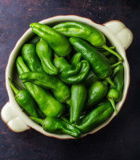 Chilli Pimentos de Padron - Capsicum annuum - osivo chilli - 7 ks