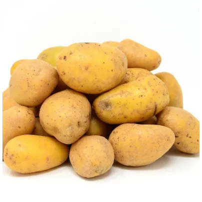 Sadbové brambory Sunshine - Solanum tuberosum - sadba - 5 kg